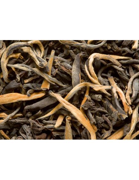 Grand Yunnan G.F.O.P. supérieur - Thé noir - Vrac