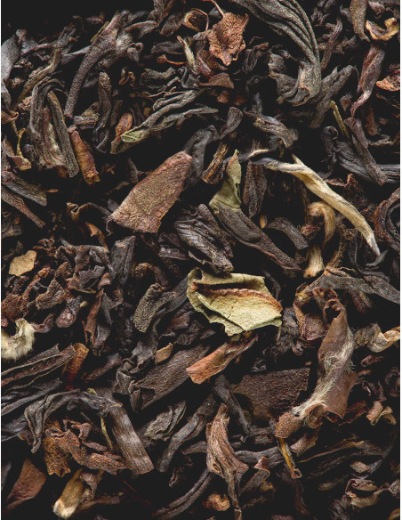 Darjeeling - Thé noir - 50 sachets