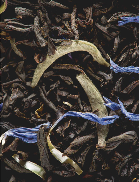 Earl Grey Yin Zhen - Thé noir - 50 sachets