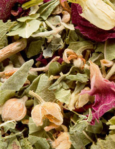 Tisane Bali - Vrac - 100 gr