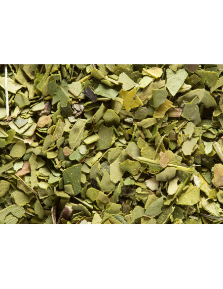 Maté Vert - Vrac - 100 gr
