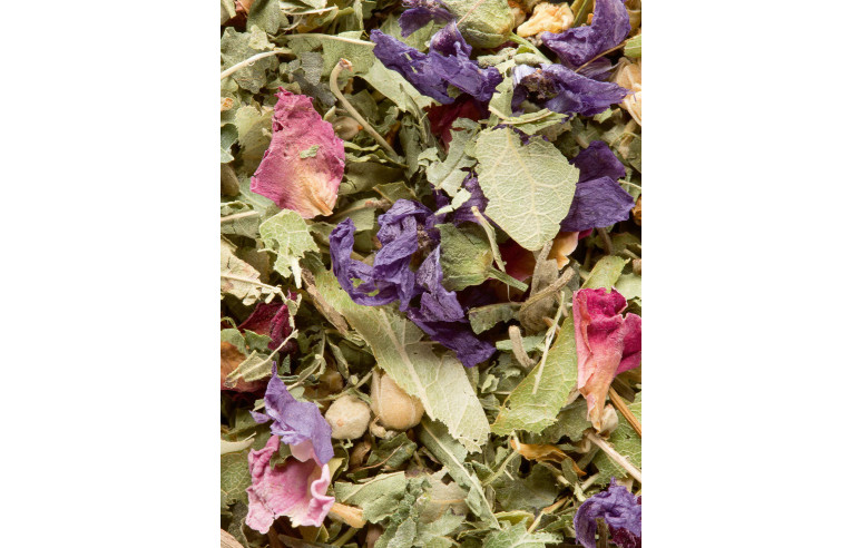 Tisane des Merveilles - 25 sachets