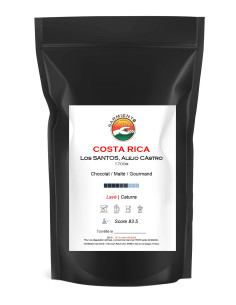 COSTA RICA, SAN IGNACIO, Los Santos Alejo Castro 1700m SHB