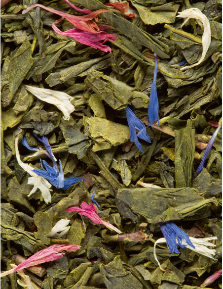 L'Oriental - Thé vert - 25 sachets